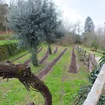Holiday home Quinta Do Caritel Vouzela