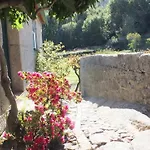 Quinta Do Caritel * 부젤라