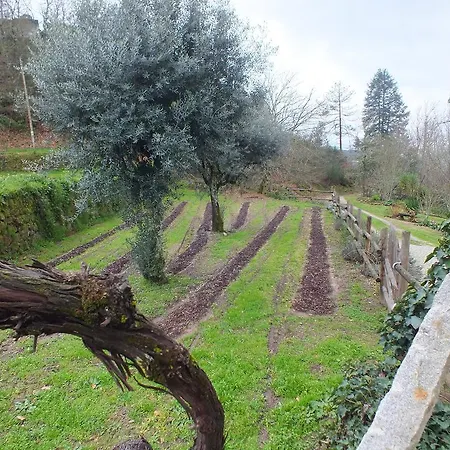 Tatil Evi Quinta Do Caritel Vouzela