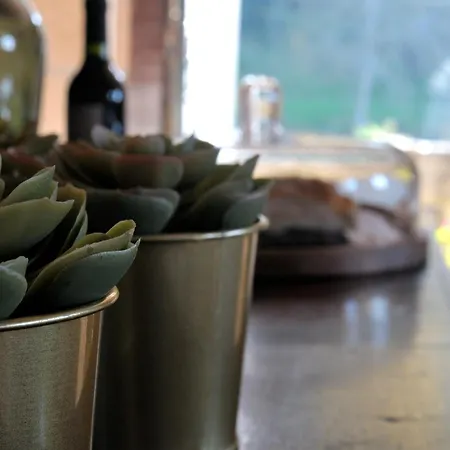 Holiday home Quinta Do Caritel