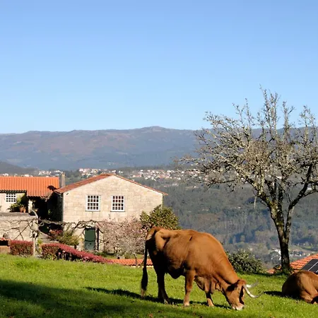 Quinta Do Caritel Σπίτι διακοπών Vouzela