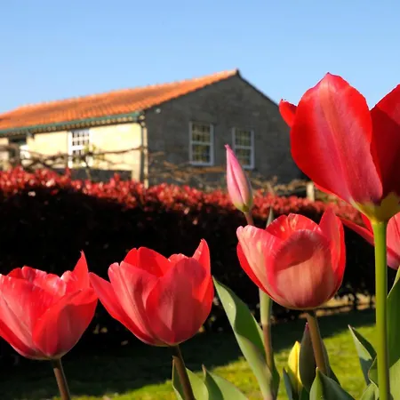 Quinta Do Caritel بيت للعطل