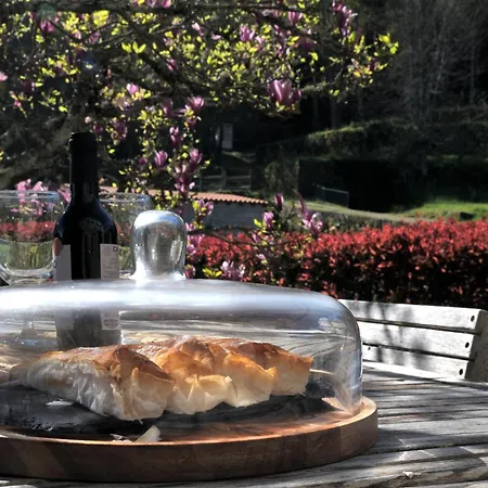 Quinta Do Caritel Tatil Evi Vouzela