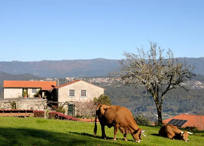 Quinta Do Caritel Σπίτι διακοπών Vouzela