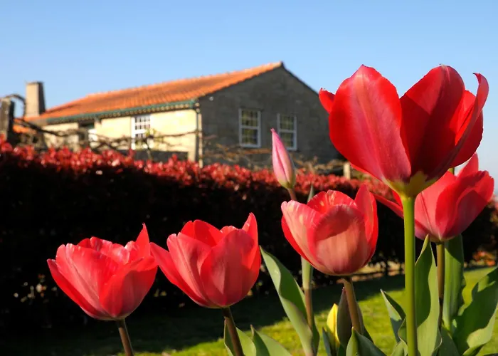 Quinta Do Caritel Σπίτι διακοπών