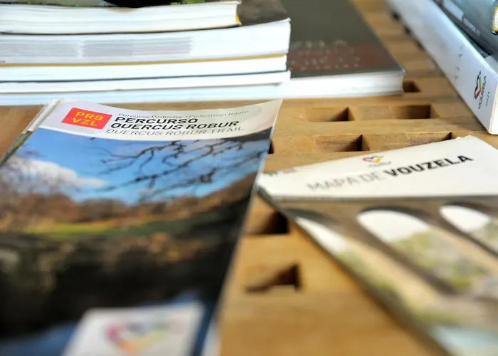 Σπίτι διακοπών Quinta Do Caritel Vouzela