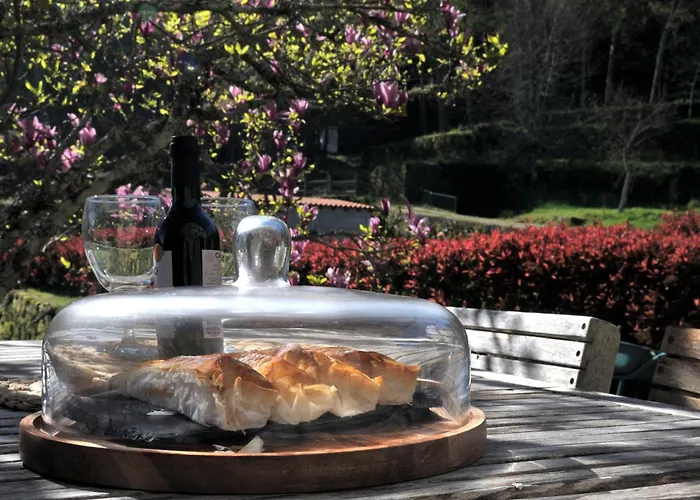 Quinta Do Caritel Σπίτι διακοπών Vouzela